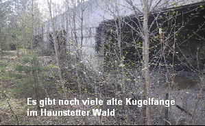 Es gibt noch viele Kugelfnge auf dem 
Alten Schieplatz im Wasserschutzgebiet 
von Augsburg